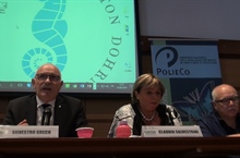 Plastica: ancora un futuro? Produzione, gestione e riciclo fra demonizzazione e green economy